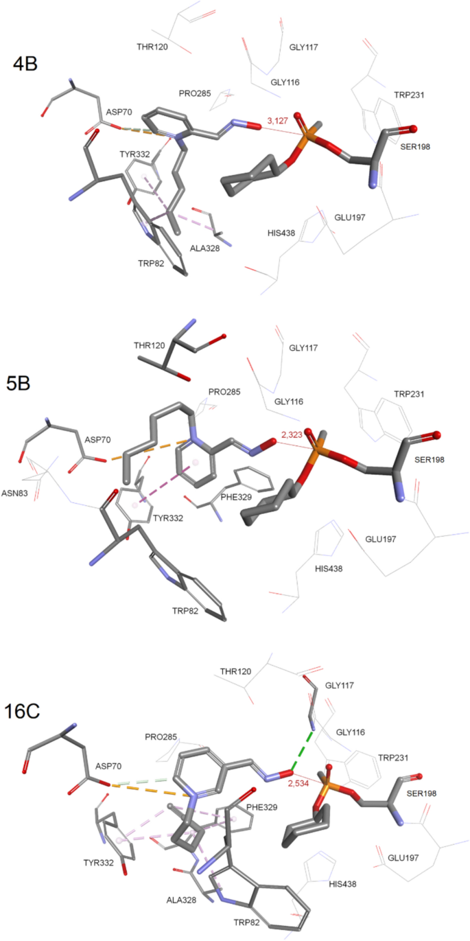 Click-chemistry-derived oxime library reveals efficient reactivators of ...