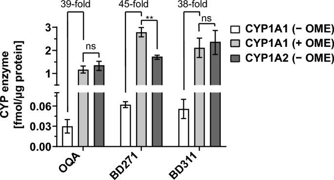 Evaluating CYP enzyme induction by cigarette smoking: a new in vitro  approach using primary human hepatocytes | Archives of Toxicology
