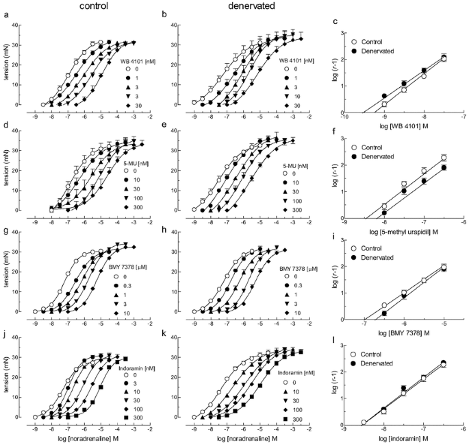 Functional Characterisation Of A 1 Adrenoceptors In Denervated Rat Vas Deferens Springerlink