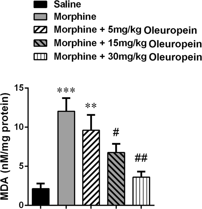Effect Of Oleuropein On Morphine Induced Hippocampus Neurotoxicity And Memory Impairments In Rats Springerlink