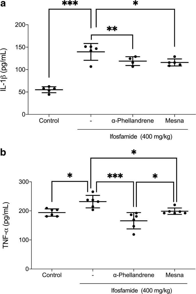 A Phellandrene Attenuates Tissular Damage Oxidative Stress And Tnf A Levels On Acute Model Ifosfamide Induced Hemorrhagic Cystitis In Mice Springerlink
