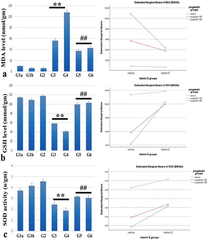 The Neurotoxic Effect Of Long Term Use Of High Dose Pregabalin And The Role Of Alpha Tocopherol In Amelioration Implication Of Mapk Signaling With Oxidative Stress And Apoptosis Springerlink