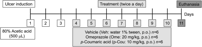 Gastric Healing Effect Of P Coumaric Acid Isolated From Baccharis Dracunculifolia Dc On Animal Model Springerlink