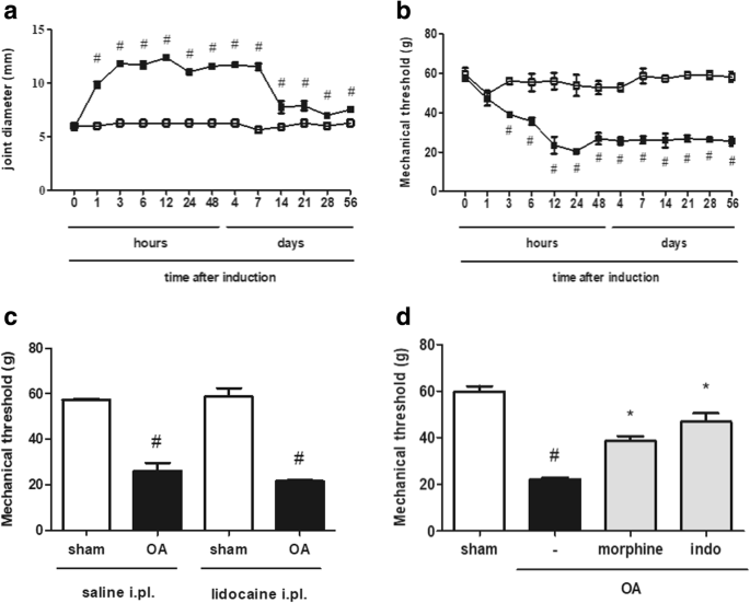 Galactomannan Of Delonix Regia Seeds Reduces Nociception And Morphological Damage In The Rat Model Of Osteoarthritis Induced By Sodium Monoiodoacetate Springerlink