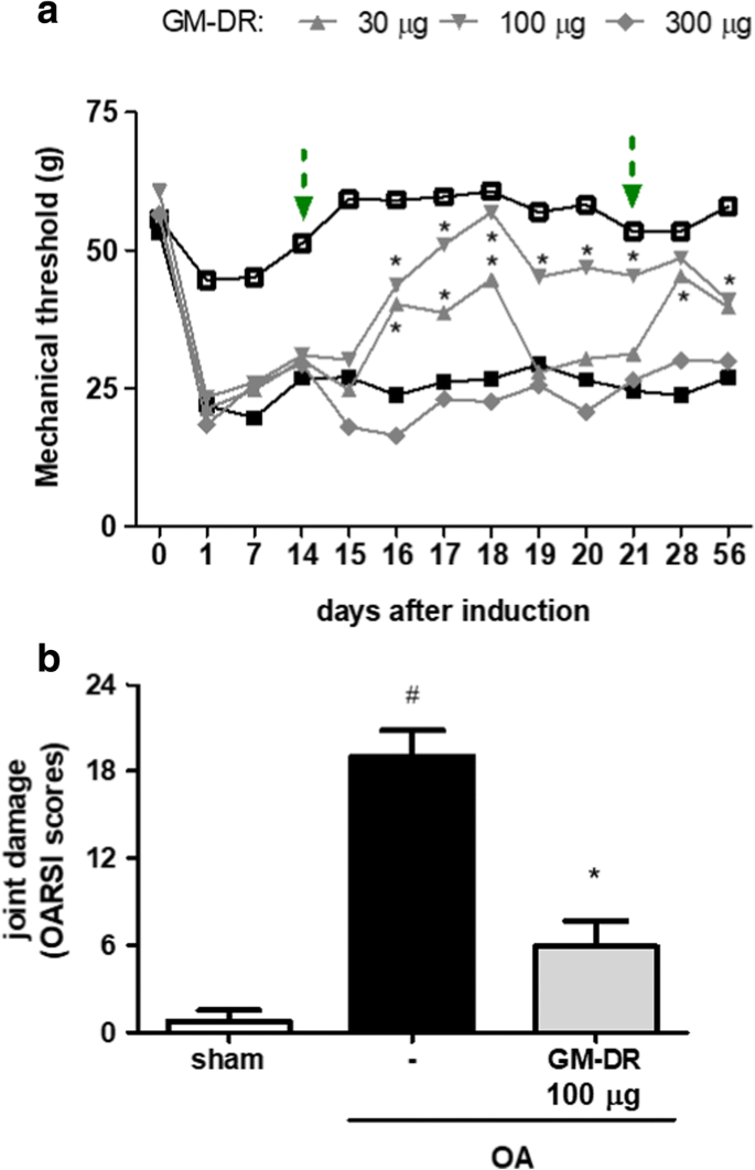Galactomannan Of Delonix Regia Seeds Reduces Nociception And Morphological Damage In The Rat Model Of Osteoarthritis Induced By Sodium Monoiodoacetate Springerlink