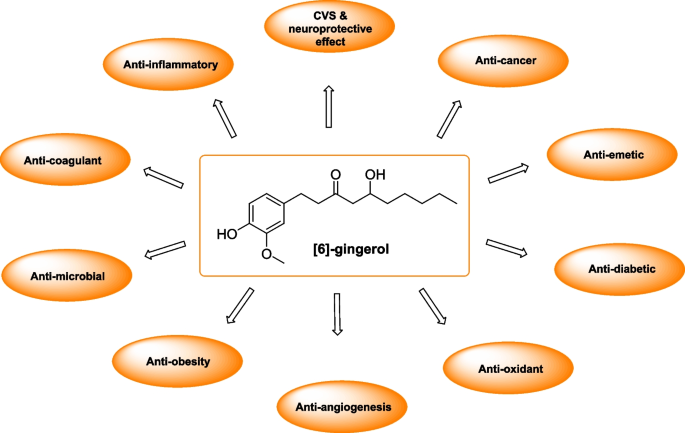 What are some alternative uses for gingerol powder?