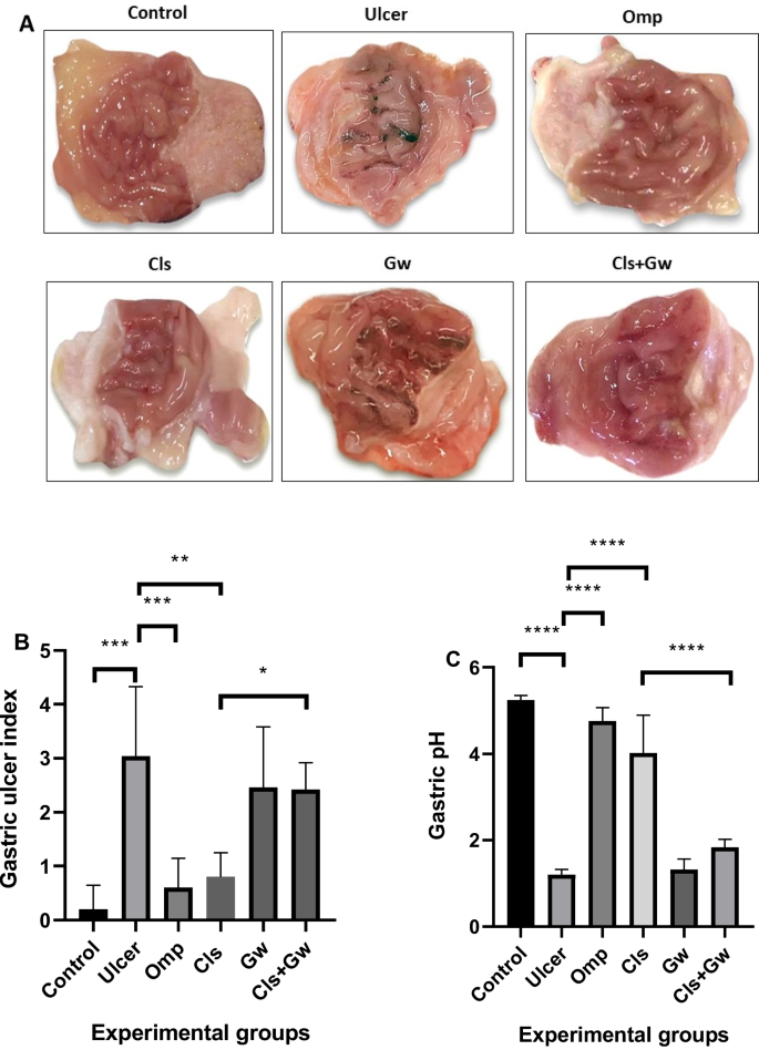 glutathione ulcer Full article: Therapeutic effects of sulforaphane in ulcerative colitis:  effect on antioxidant activity, mitochondrial biogenesis and DNA  polymerization
