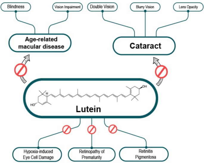 Clinical management of eye diseases: carotenoids and their nanoformulations  as choice of therapeutics | Naunyn-Schmiedeberg's Archives of Pharmacology  | Springer Nature Link