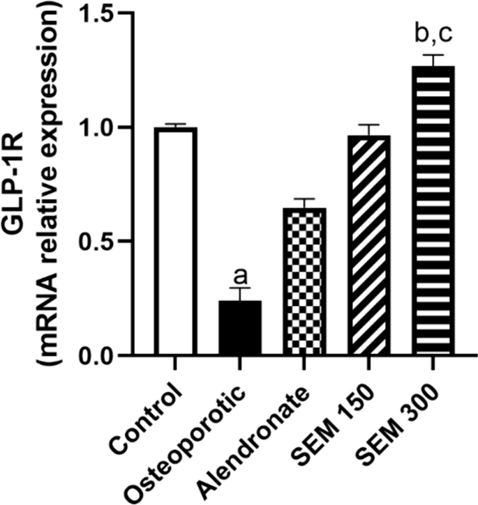 The crucial role of beta-catenin in the osteoprotective effect of  semaglutide in an ovariectomized rat model of osteoporosis |  Naunyn-Schmiedeberg's Archives of Pharmacology