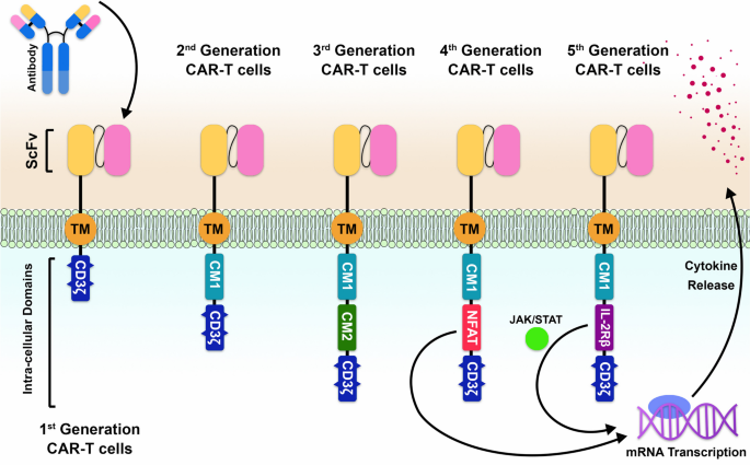 Recent advancements in improving the efficacy and safety of chimeric ...