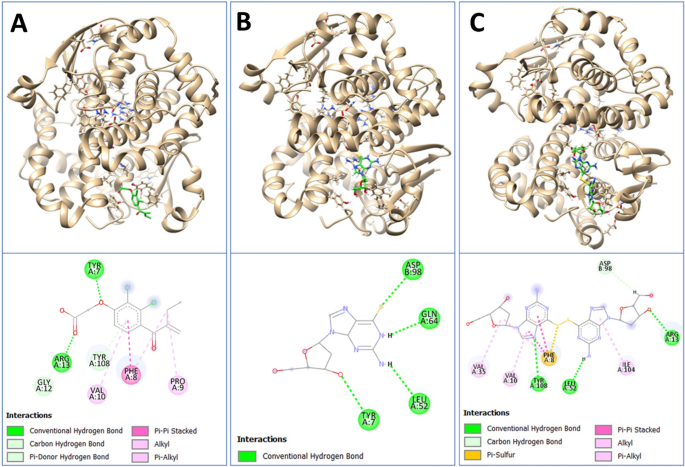 Investigation of the inhibitory effects of the telomere-targeted compounds  on glutathione S-transferase P1 | Naunyn-Schmiedeberg's Archives of  Pharmacology | Springer Nature Link