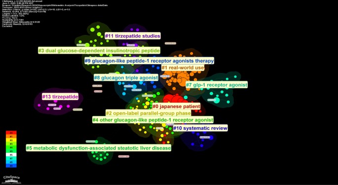studies on tirzepatide Mapping the global research landscape of tirzepatide: a bibliometric  analysis of trends, collaborations, and emerging themes in obesity and  diabetes managements | Naunyn-Schmiedeberg's Archives of Pharmacology