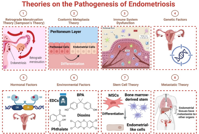 Natural bioactive compounds and herbal medicines targeting common signaling  pathways in endometriosis: mechanisms and therapeutic implications |  Naunyn-Schmiedeberg's Archives of Pharmacology | Springer Nature Link