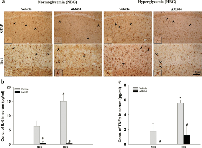Chronic Low Dose Of Am404 Ameliorates The Cognitive Impairment And Pathological Features In Hyperglycemic 3xtg Ad Mice Springerlink