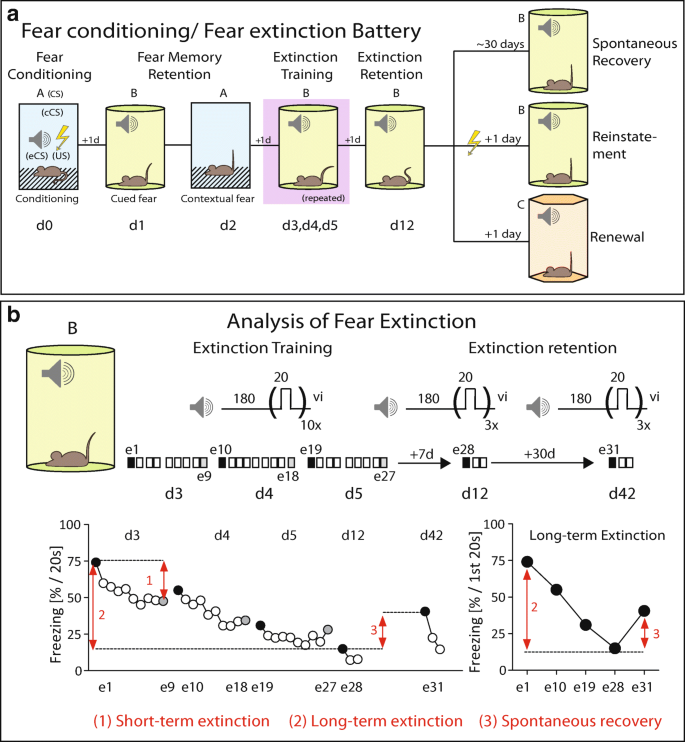 Sound check, stage design and screen plot – how to increase the  comparability of fear conditioning and fear extinction experiments |  Psychopharmacology