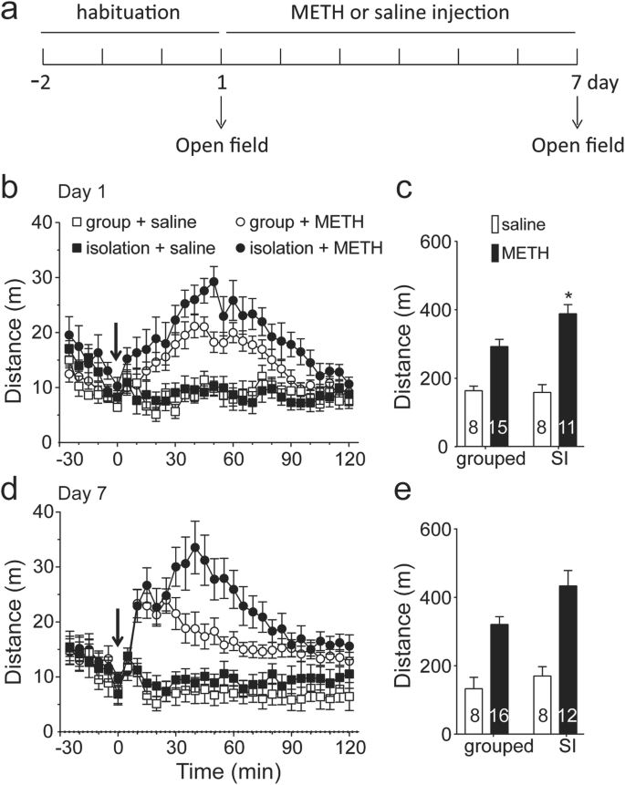 Enduring Effects Of Juvenile Social Isolation On Physiological Properties Of Medium Spiny Neurons In Nucleus Accumbens Springerlink