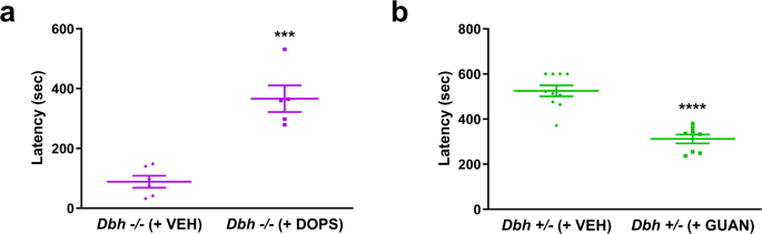 E676 ドラゴンボールヒーローズ CP 400枚 SR 400枚 セット まとめ スーパードラゴンボールヒーローズ」の人気商品一覧 | 安い商品を通販