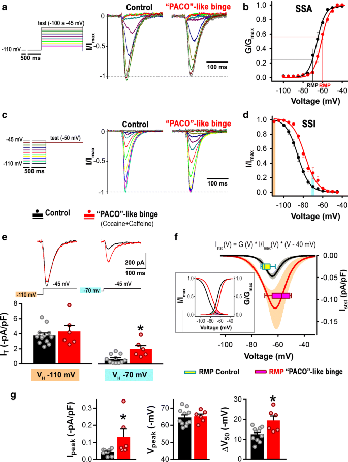 Simultaneous Administration Of Cocaine And Caffeine Dysregulates Hcn And T Type Channels Springerlink