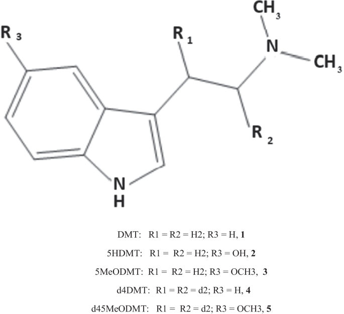 Lære udenad tommelfinger køber Administration of N,N-dimethyltryptamine (DMT) in psychedelic therapeutics  and research and the study of endogenous DMT | SpringerLink