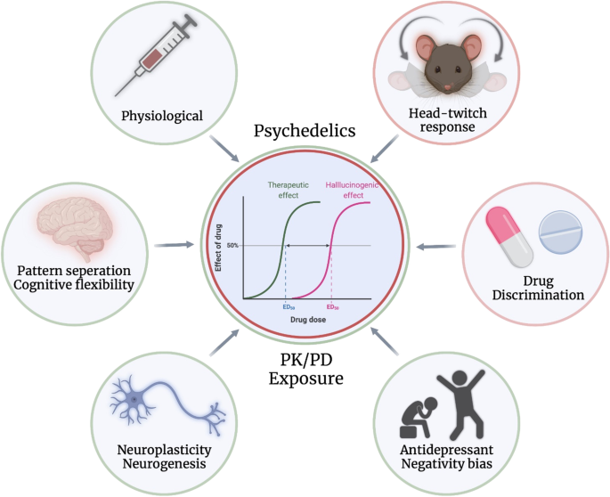 How to account for hallucinations in the interpretation of the  antidepressant effects of psychedelics: a translational framework |  SpringerLink