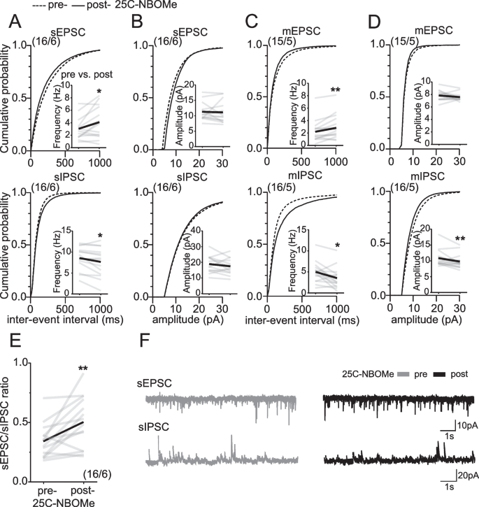 Location and distribution of inhibitory synapses differentially affect