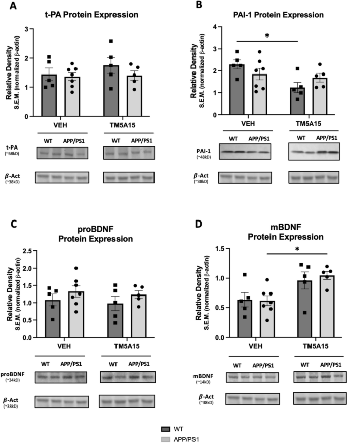 Plasminogen Activator Inhibitor-1 Is a Marker and a Mediator of