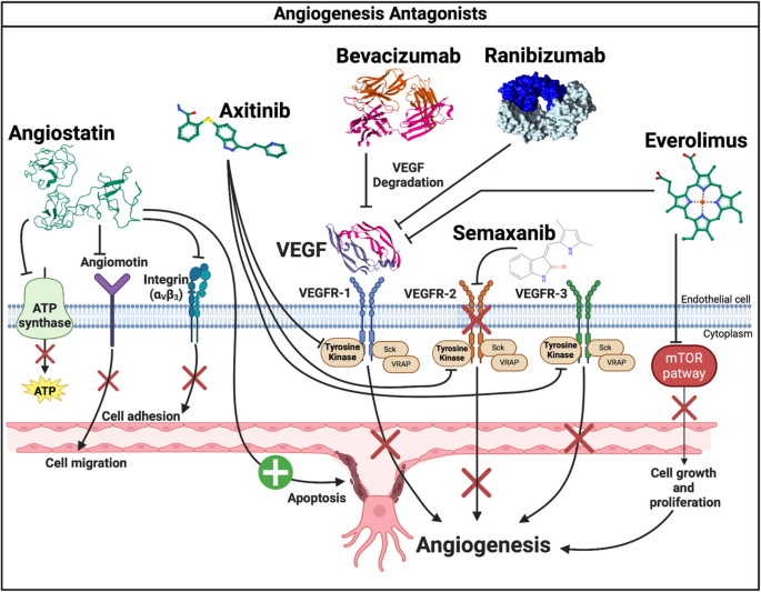 can bpc-157 help sperm quality Peptides for reducing oxidative stress in fertility