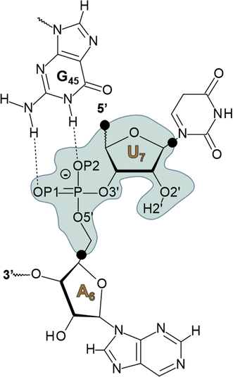 scheme 3