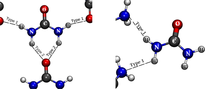Two views of bond paths for (a) polymorph I, b second polymorph III and