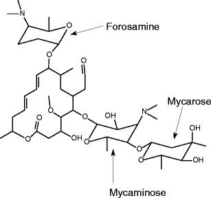 Fate Of Antibacterial Spiramycin In River Waters Springerlink