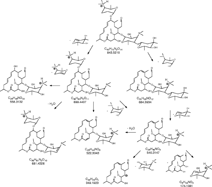 Fate Of Antibacterial Spiramycin In River Waters Springerlink