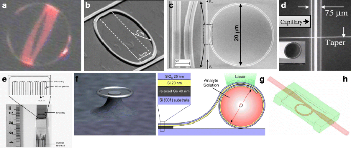 Optical ring resonators for biochemical and chemical sensing | SpringerLink