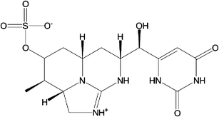 Cylindrospermopsin