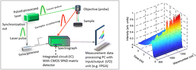 Fluorescence-suppressed time-resolved Raman spectroscopy of pharmaceuticals  using complementary metal-oxide semiconductor (CMOS) single-photon  avalanche diode (SPAD) detector | SpringerLink