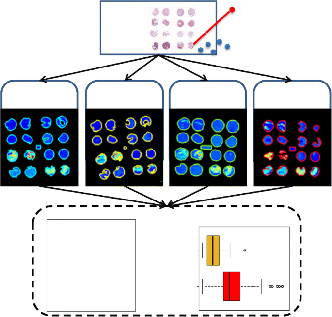 Round Robin Study Of Formalin Fixed Paraffin Embedded Tissues In Mass Spectrometry Imaging Springerlink