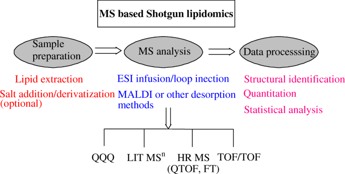 Mass Spectrometry Based Shotgun Lipidomics A Critical Review From The Technical Point Of View Springerlink Mass Spectrometry Based Shotgun Lipidomics A Critical Review From The Technical Point Of View Springerlink