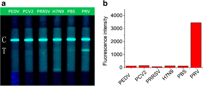 A Novel Fluorescent Immunochromatographic Strip Combined With Pocket Fluorescence Observation Instrument For Rapid Detection Of Prv Springerlink A Novel Fluorescent Immunochromatographic Strip Combined With Pocket Fluorescence Observation Instrument For Rapid Detection Of Prv Springerlink