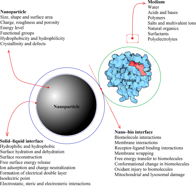 Profiling Of Nanoparticle Protein Interactions By Electrophoresis Techniques Springerlink