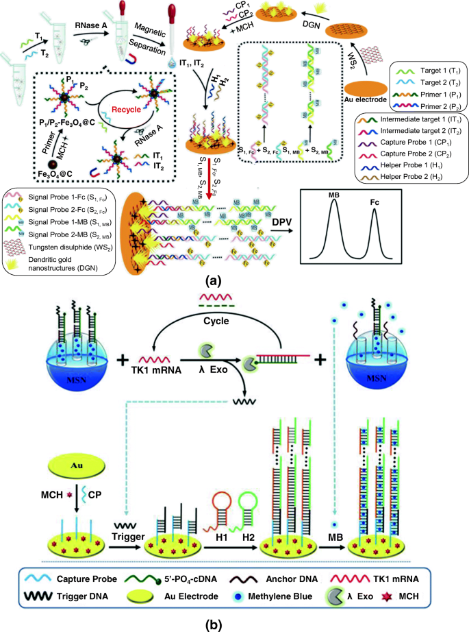 Electrochemical Genosensing of Overexpressed GAPDH Transcripts