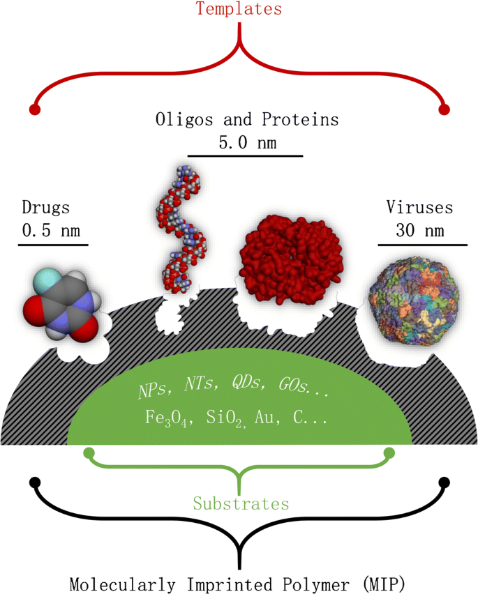 Oxidant Control of Polydopamine Surface Chemistry in Acids: A  Mechanism-Based Entry to Superhydrophilic-Superoleophobic Coatings