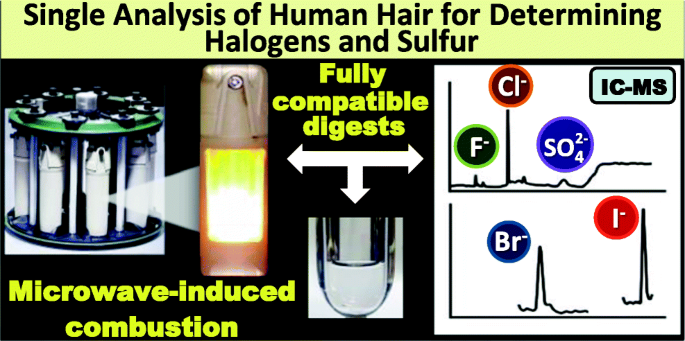 Single analysis of human hair for determining halogens and sulfur after  sample preparation based on combustion reaction | SpringerLink