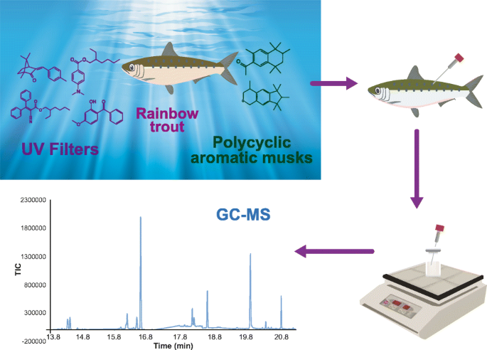Trace analysis of UV filters and musks in living fish by in vivo SPME-GC-MS  | SpringerLink
