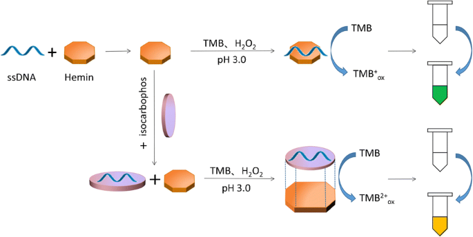 Oligonucleotides And Pesticide Regulated Peroxidase Catalytic Activity Of Hemin For Colorimetric Detection Of Isocarbophos In Vegetables By Naked Eyes Springerlink