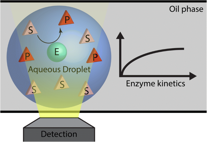 Droplet Based Optofluidic Systems For Measuring Enzyme Kinetics Springerlink