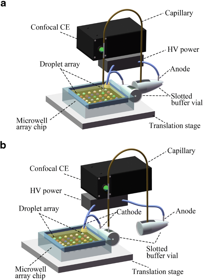 Consecutive And Automatic Detection Of Multi Gene Mutations From