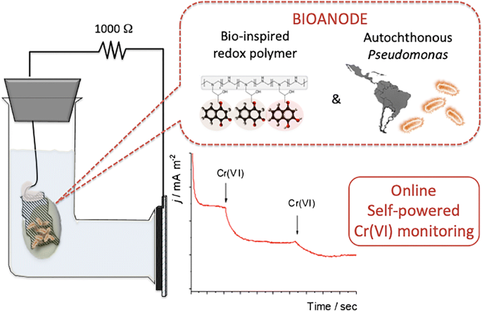 Online Self Powered Cr Vi Monitoring With Autochthonous Pseudomonas And A Bio Inspired Redox Polymer Springerlink