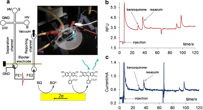 Biological Applications Of Microchip Electrophoresis With Amperometric Detection In Vivo Monitoring And Cell Analysis Springerlink
