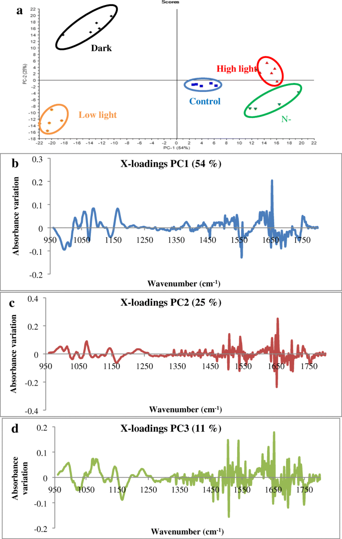 Infrared Spectroscopy As A Tool To Monitor Interactions Between Nanoplastics And Microalgae Springerlink Infrared Spectroscopy As A Tool To Monitor Interactions Between Nanoplastics And Microalgae Springerlink