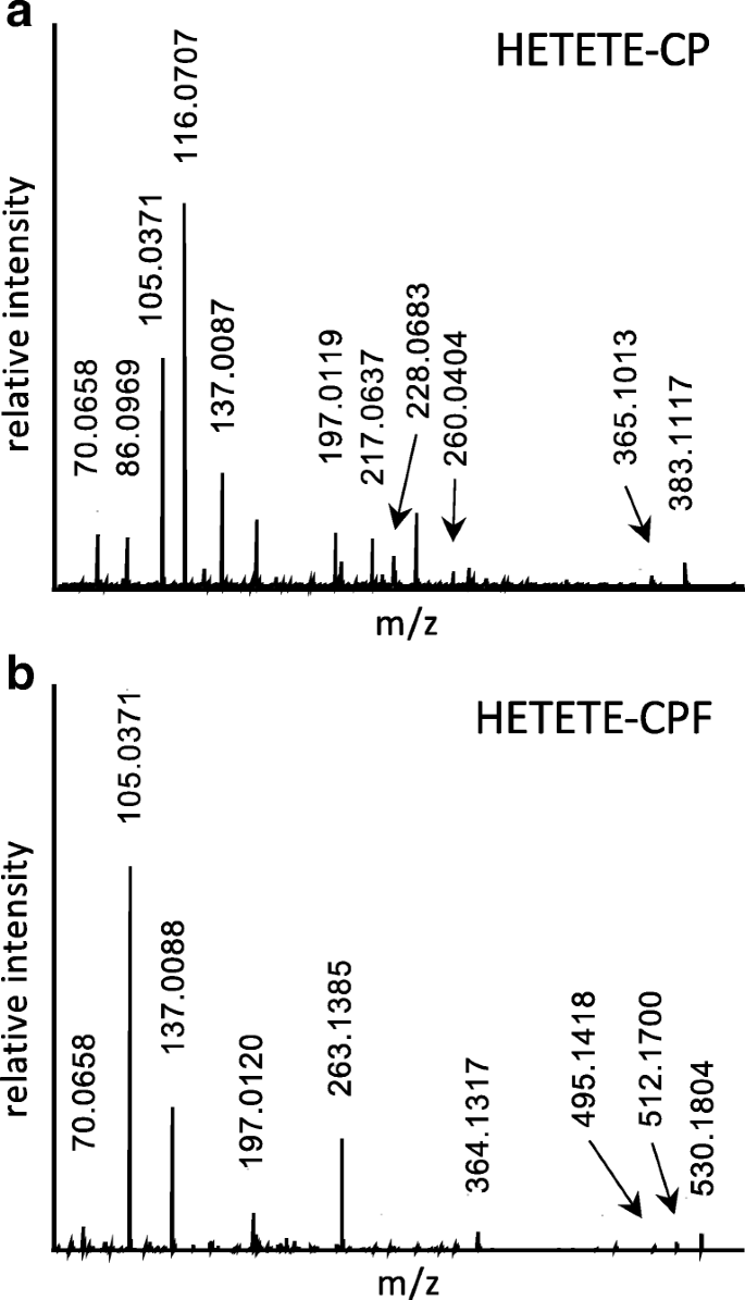 Adduct Of The Blistering Warfare Agent Sesquimustard With Human Serum Albumin And Its Mass Spectrometric Identification For Biomedical Verification Of Exposure Springerlink