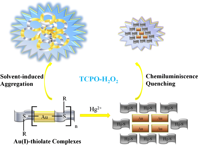 Aggregation Induced Chemiluminescence System For Sensitive Detection Of Mercury Ions Springerlink